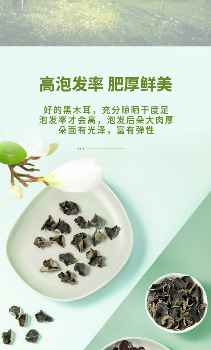 陕西西乡绿珠茶业有限公司黑木耳热卖专区欢迎咨询