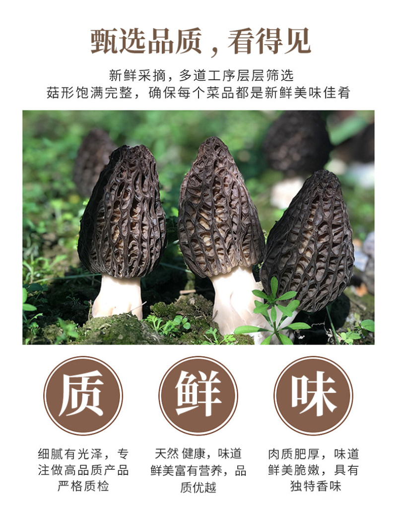 【牛商】陕西汉中诚信经营羊肚菌热卖专区欢迎咨询