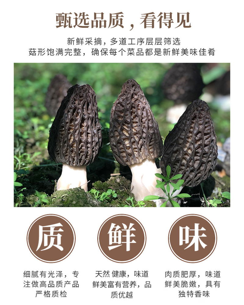 【牛商】陕西汉中诚信经营羊肚菌热卖专区欢迎咨询