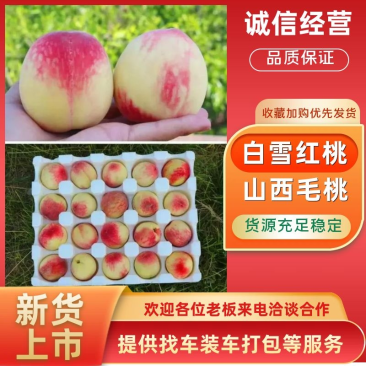 山西运城冬桃，纸袋映霜红，口感甜脆，大量上市。