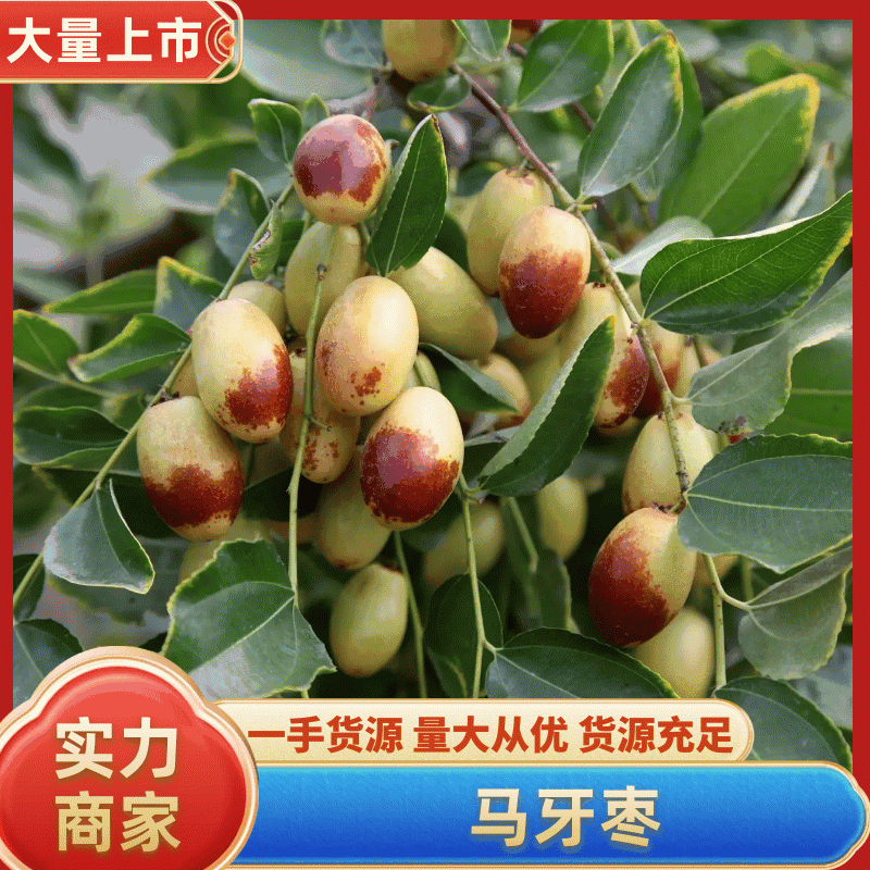 子弹头，马牙枣精品货，对接市场电商一件代发