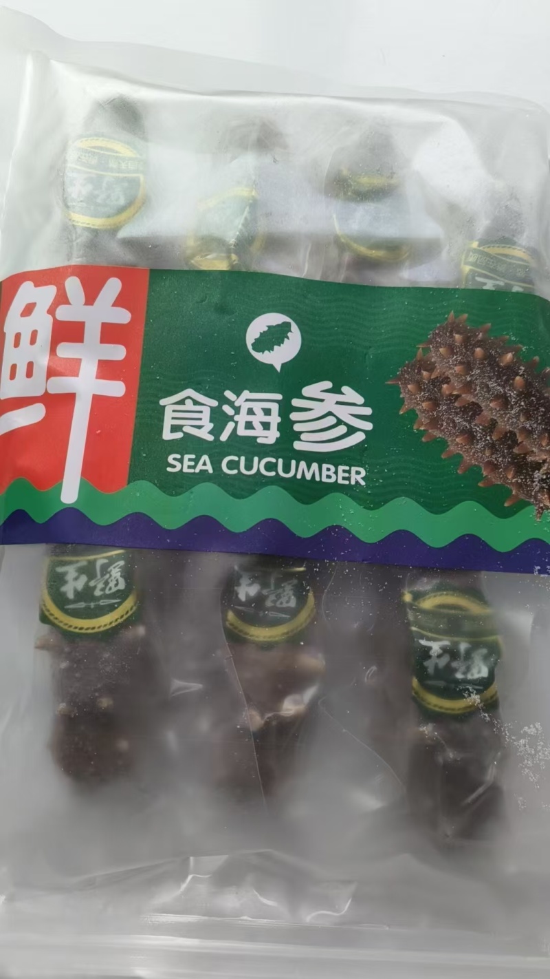 长岛海参，15g（6cm）/只精品海参欢迎各地客商来电洽谈