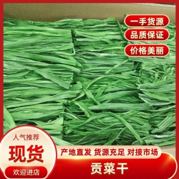 2.5公分贡菜到15公分的长年供应
