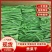 2.5公分贡菜到15公分的长年供应