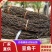 【优选包邮】干豆角一件代发包邮到家质量保障诚信为本欢迎来电
