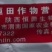 陕西恒田蓝旺65%超高钾型营养肥大量元素水溶肥