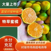 湖南特早蜜橘大量上市口感甜皮薄汁多规格齐全