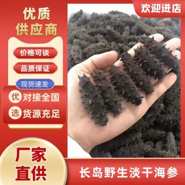 淡干海参/长岛野生淡干海参量大从优精品好参欢迎各地客商洽谈