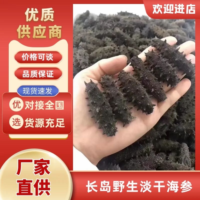 淡干海参/长岛野生淡干海参量大从优精品好参欢迎各地客商洽谈