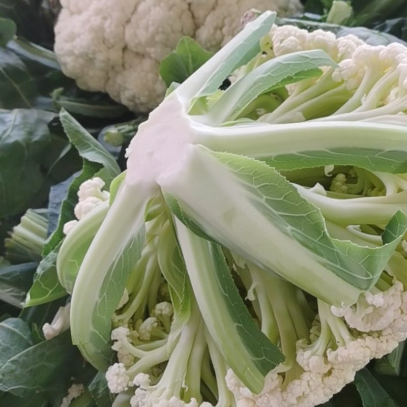 花菜有机花河北花菜产地直发一手货源电商市场商超