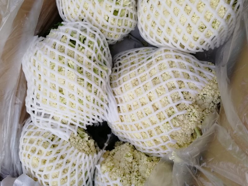 花菜有机花河北花菜产地直发一手货源电商市场商超
