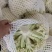 花菜有机花河北花菜产地直发一手货源电商市场商超