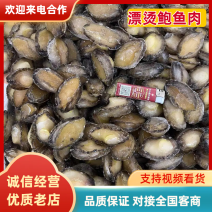泓振鲍源漂烫鲍鱼鲍鱼纯肉鲍鱼净肉去内脏去壳鲍鱼全规格