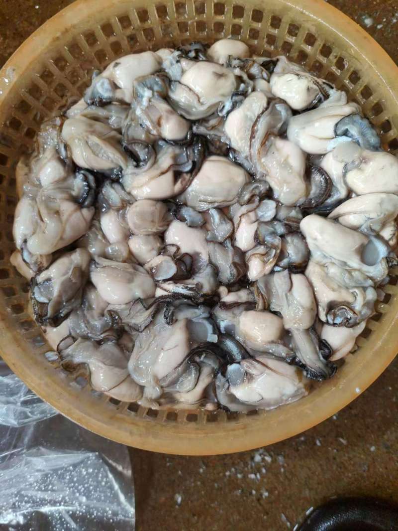 批生蚝全壳半壳纯肉肉肥口感好个大量大从优欢迎联系