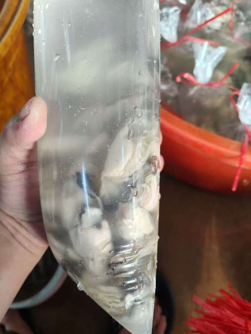 批生蚝全壳半壳纯肉肉肥口感好个大量大从优欢迎联系