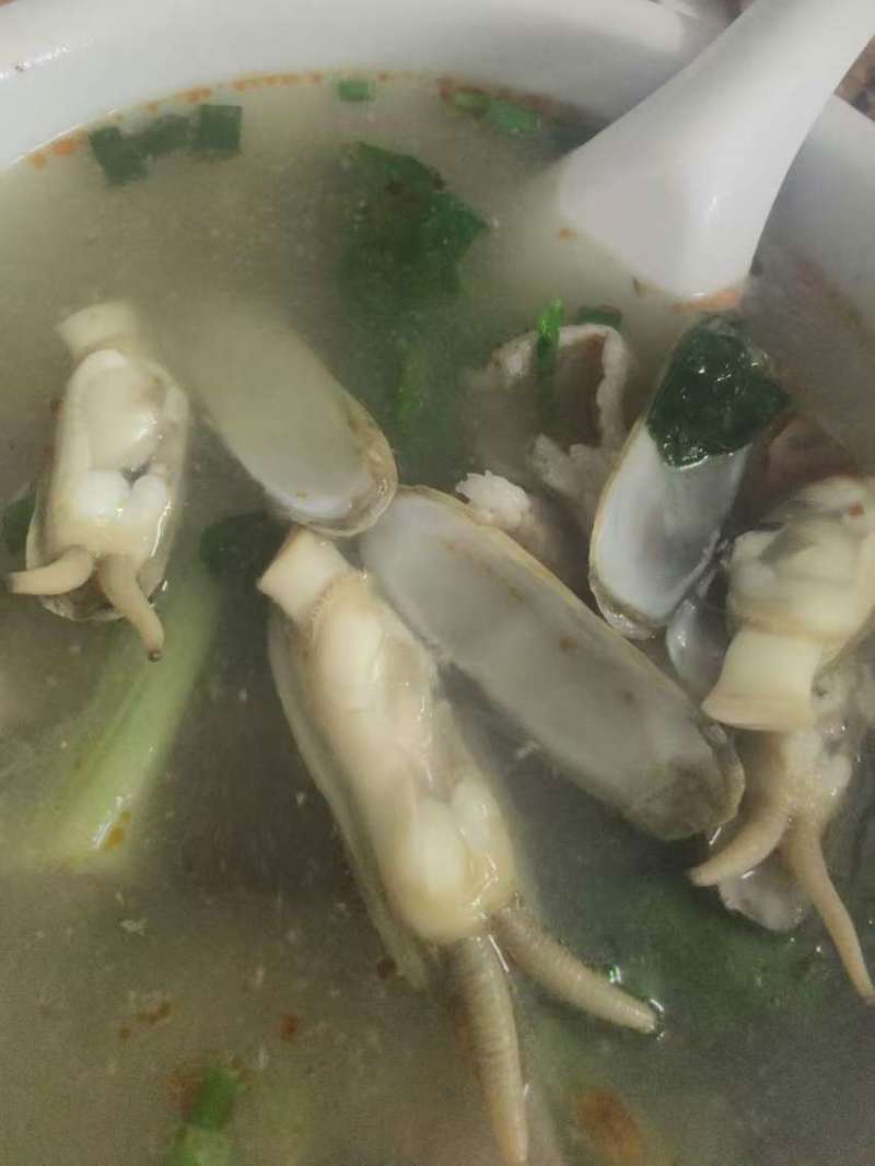 蛏子量大从优一手货源欢迎各地客商洽谈合作
