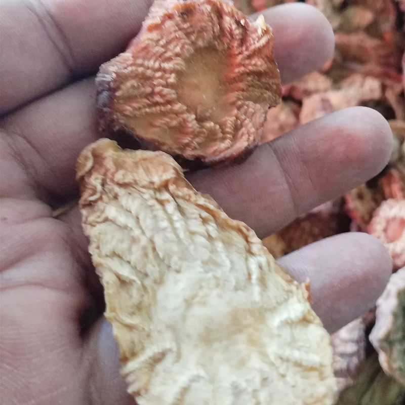肉苁蓉切片新疆特产软质从容圆切片长切片泡茶泡水料包邮批发