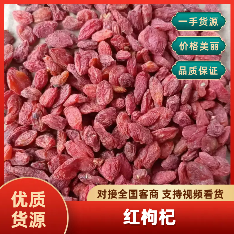 精品红枸杞品质好价格低一手货源大量现货欢迎来电