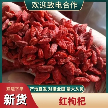 精品红枸杞产地看货大量现货品质好价格低欢迎洽谈
