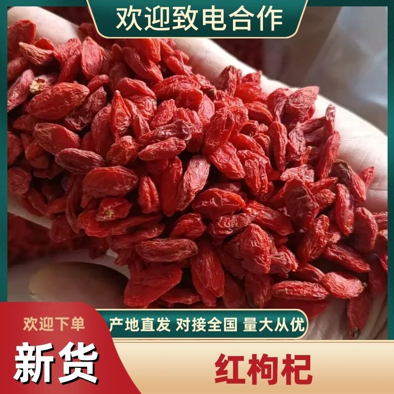精品红枸杞产地看货大量现货品质好价格低欢迎洽谈