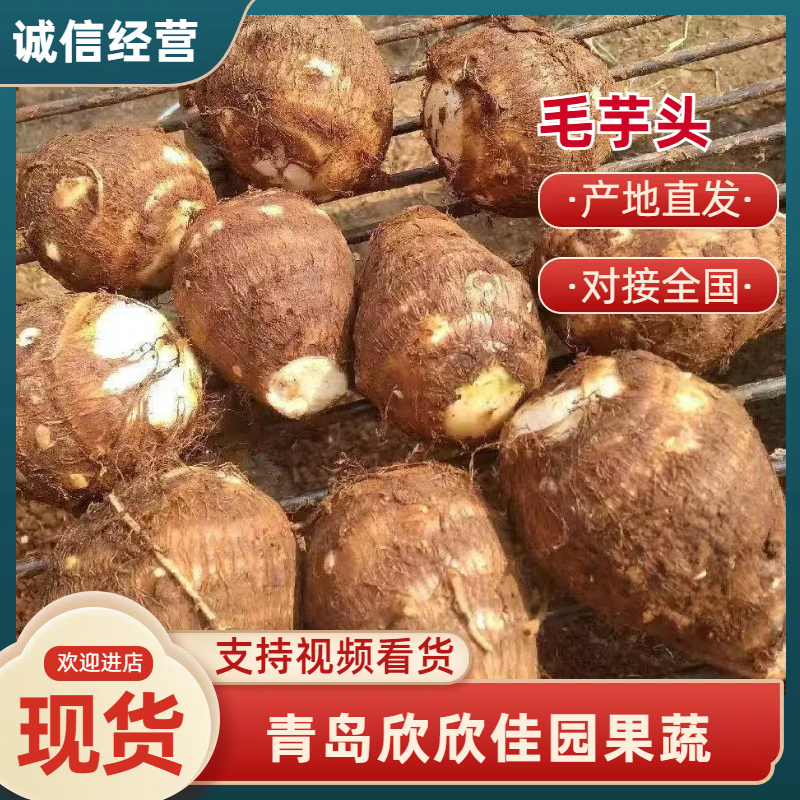芋头大母，现挖现发，现场加工大量供应市场，电商，欢迎联系