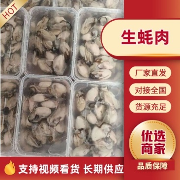 批生蚝全壳半壳纯肉肉肥口感好个大量大从优欢迎联系