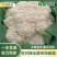 菜花、花菜、精品有机花菜，一手货源，品质保证，诚信经营