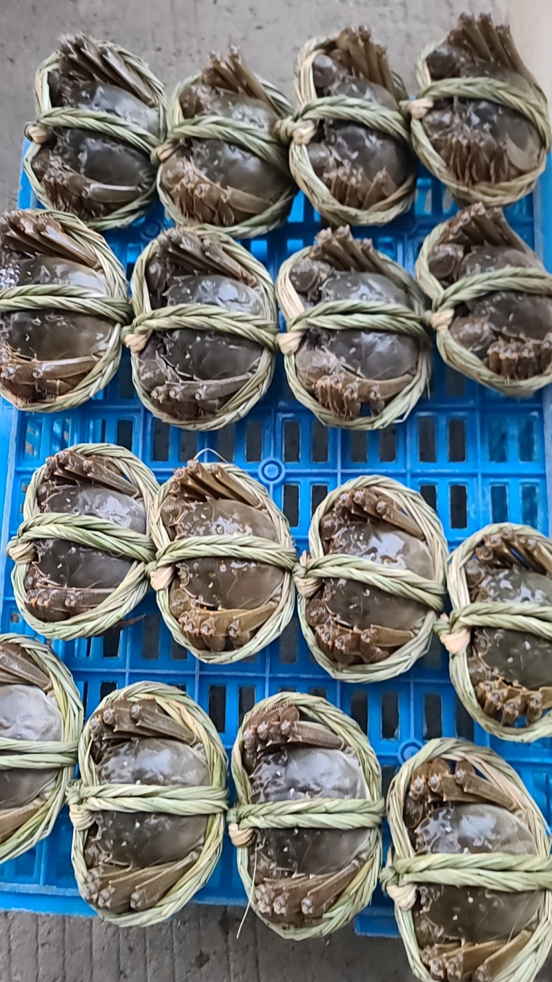 常用大闸蟹