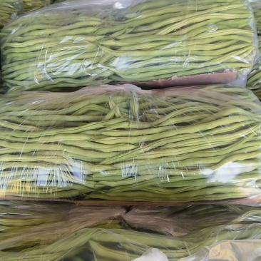 架豆王豆角，四季豆，基地直发，全国发货，欢迎来电