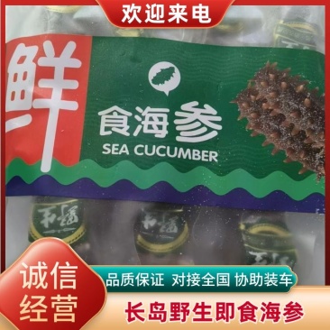 长岛海参，15g（6cm）/只精品海参欢迎各地客商来电洽谈