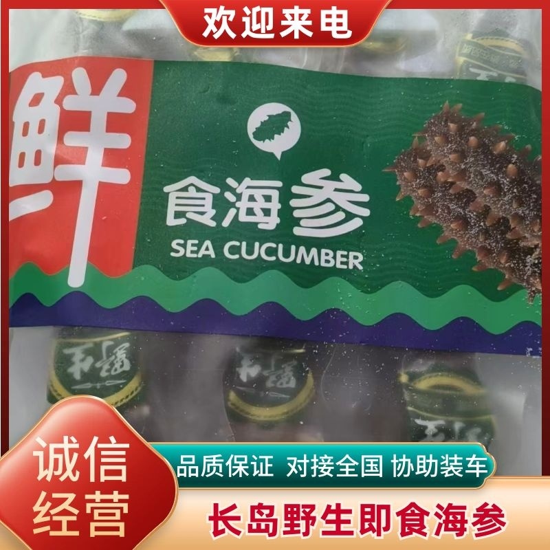 长岛海参，15g（6cm）/只精品海参欢迎各地客商来电洽谈