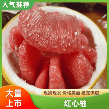 【红心柚】湖北柚子宜昌红心柚子皮薄果形好口感好颜色靓丽卖相好