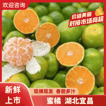 【蜜橘】云南蜜橘蜜桔颜色靓丽按需分拣打包加工电商批发都接