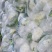花菜物美价廉多年老店稳定供货对接全国