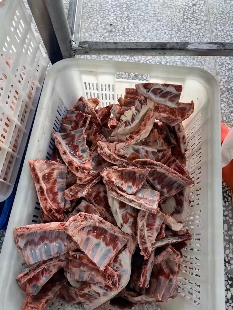 羊排羔羊小角排量大质优价优一手货源支持视频看货