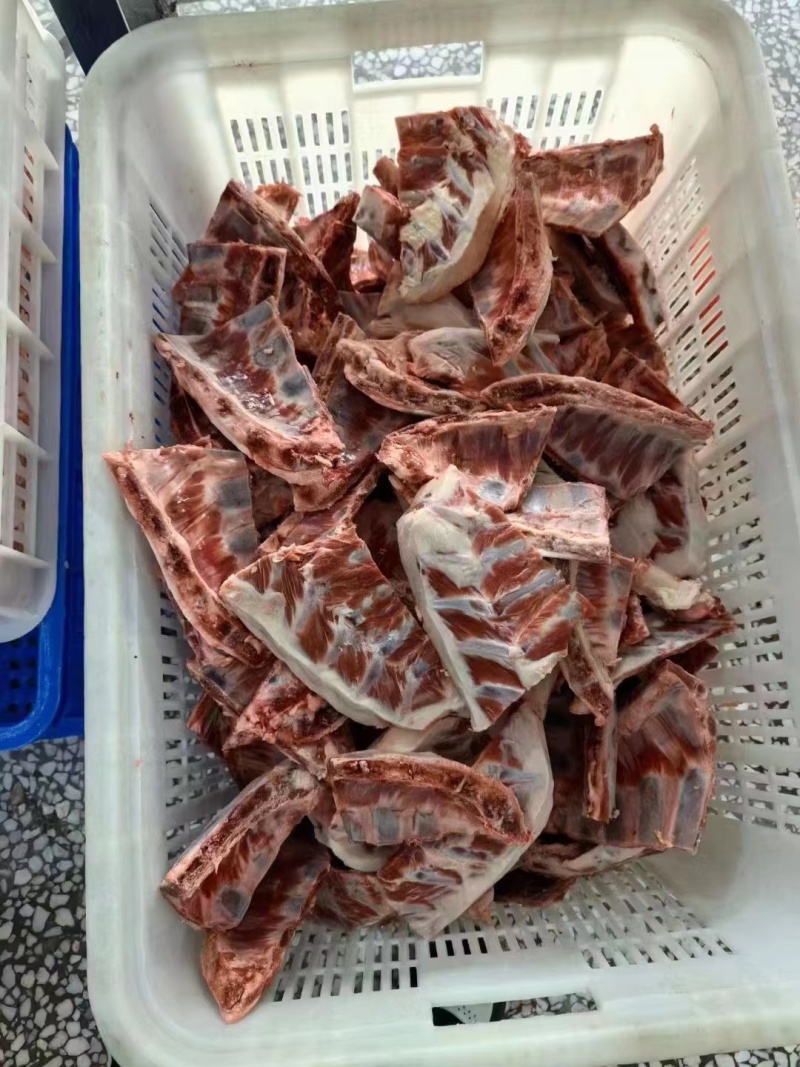 羊排羔羊小角排量大质优价优一手货源支持视频看货