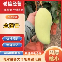 【一件代发】优质金煌芒坏果包赔供应电商/饮品店可视频
