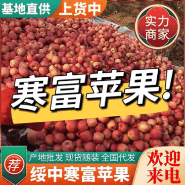 寒富苹果,辽宁苹果,甜脆可口,个头大,颜色鲜艳,皮毛亮