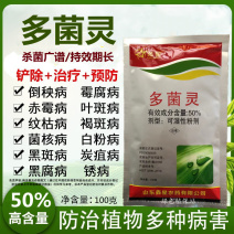 多菌灵花卉植物杀菌剂月季黑斑白粉病多肉烟煤病菌核病叶斑病