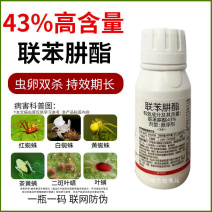 43%联苯肼酯杀虫剂红蜘蛛专用叶螨茶黄螨锈壁虱虫卵双杀