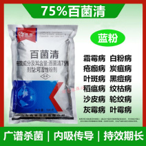 75%百菌清杀菌剂白粉病霜霉病叶斑病叶锈病花卉植物果树通