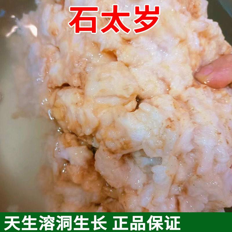 石太岁太岁肉林芝产地货源