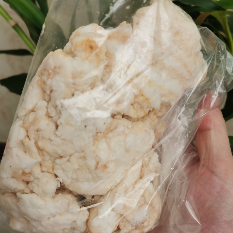 石太岁太岁肉林芝产地货源