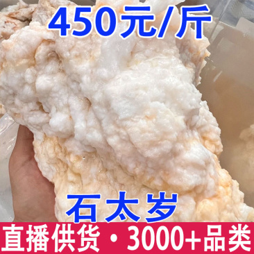 石太岁太岁肉林芝产地货源