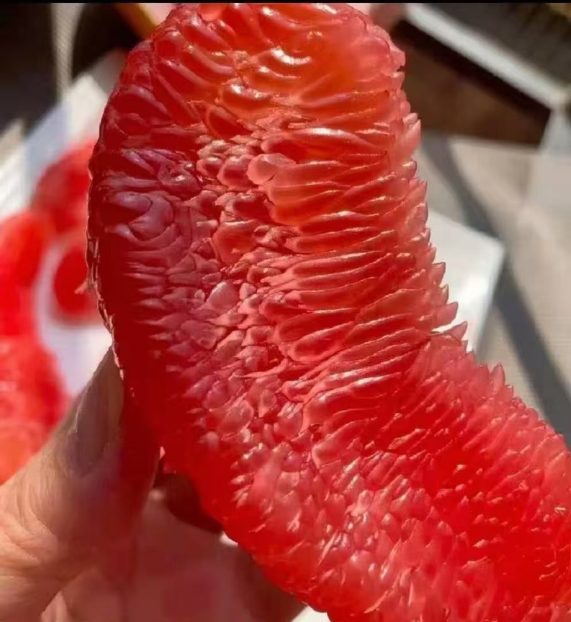 柚子红心柚和平红心柚大量上市中汁多饱满产地直发