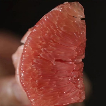 红心柚和平红心蜜柚大量上市中味甜汁多饱满一手货源