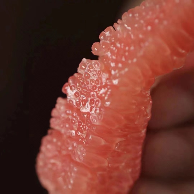 红心柚和平红心蜜柚大量上市中味甜汁多饱满一手货源