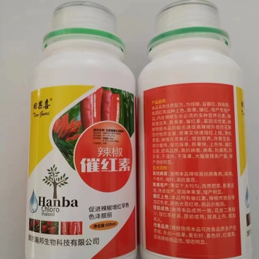 田果喜---辣椒催红素
