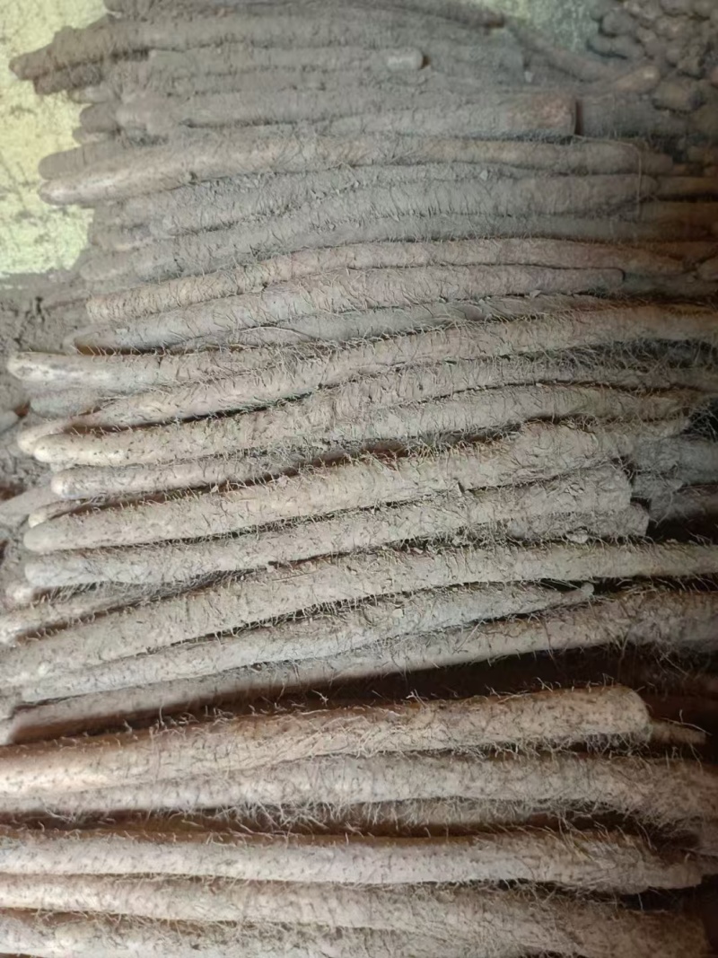小白嘴山药量大从优欢迎洽谈合作各种山药精品山药