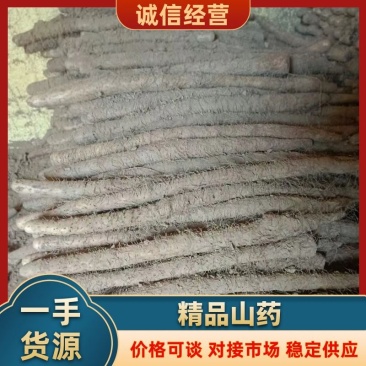 小白嘴山药量大从优欢迎洽谈合作各种山药精品山药